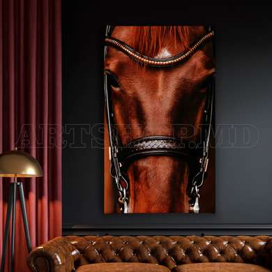 Poster - The brown horse, 60 x 90 см, Framed poster on glass, Animals