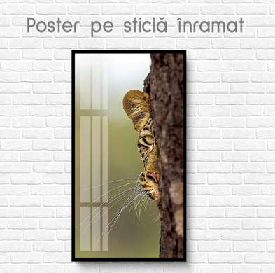 Постер, Взгляд хищника, 60 x 90 см, Постер на Стекле в раме, Животные