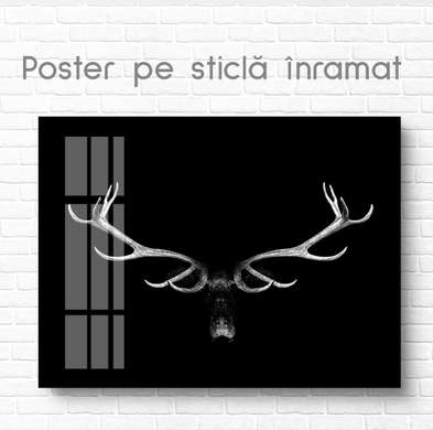Poster, Coarnele, 90 x 60 см, Poster inramat pe sticla, Animale