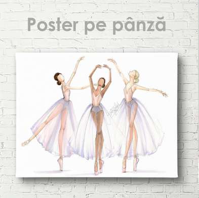 Poster - Ballerinas, 90 x 60 см, Framed poster on glass
