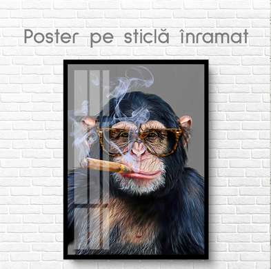 Poster, Maimuță cu pipă, 60 x 90 см, Poster inramat pe sticla