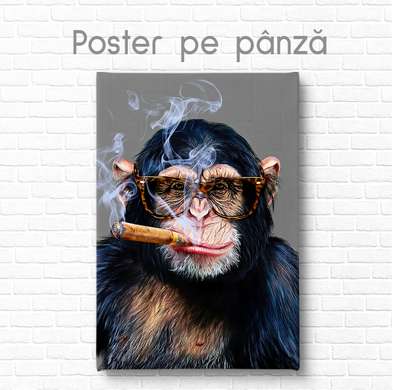 Poster, Monkey with a pipe, 60 x 90 см, Framed poster on glass, Animals