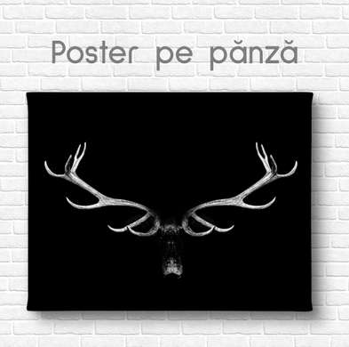 Poster, Horns, 45 x 30 см, Canvas on frame, Animals