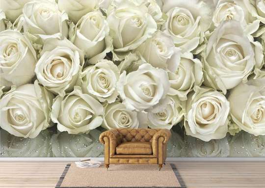 Wall Mural - Reflection of white roses