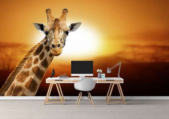 Фотообои - Жираф на фоне заката