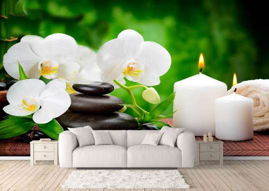 Wall mural — White orchid on a green background.
