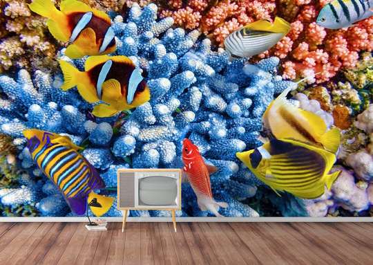 Wall Mural with the underwater world in bright colors