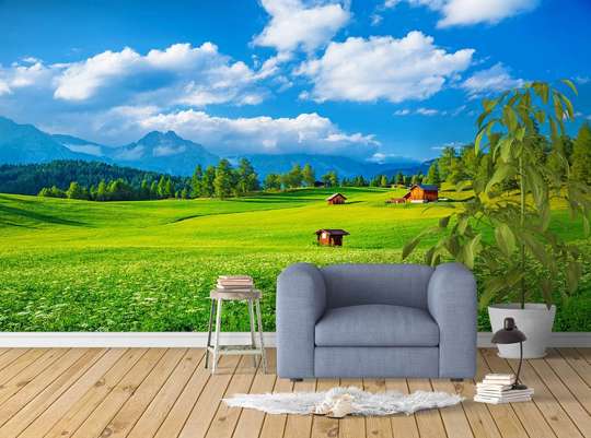 Wall Mural - Landscape with green grass and blue sky