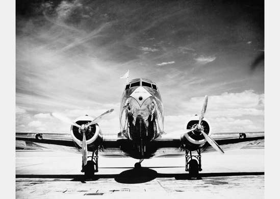 Wall Mural - Black and white plane against the sky.