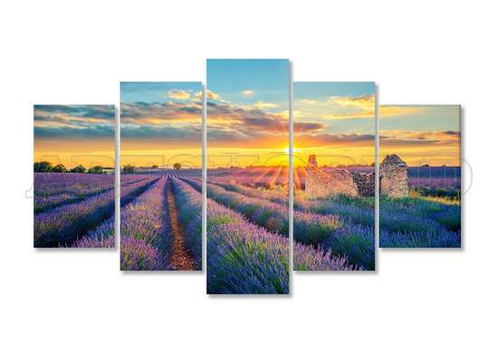 Modular picture, Lavender field., 108 х 60