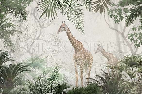 Wall mural - Giraffes in the green jungle