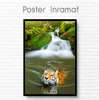 Постер, Тигр в воде, 30 x 45 см, Холст на подрамнике