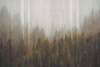 Fototapet - Pădure de toamnă cu brazi
