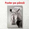 Poster - Rinocerul serios, 45 x 90 см, Poster inramat pe sticla, Alb Negru