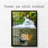 Poster, Tiger in the water, 60 x 90 см, Framed poster on glass, Animals