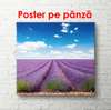 Poster - Beautiful day in the lavender field, 100 x 100 см, Framed poster on glass, Nature