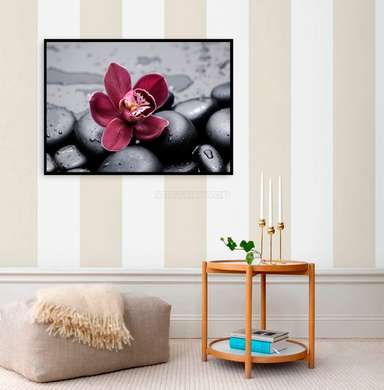 Poster - Burgundy orchid flower on black stones, 90 x 60 см, Framed poster, Flowers