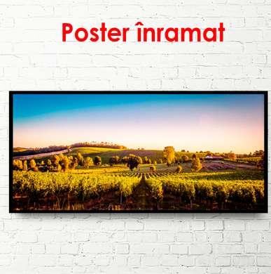 Poster - Beautiful field landscape, 150 x 50 см, Framed poster