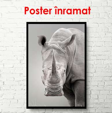 Poster - Rinocerul serios, 30 x 60 см, Panza pe cadru, Alb Negru