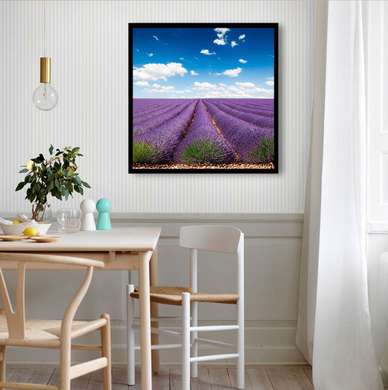 Poster - O zi frumoasă în câmpul de lavandă, 100 x 100 см, Poster înrămat, Natură