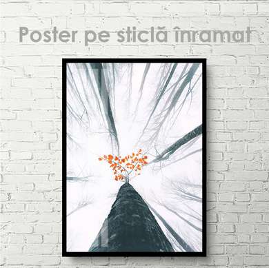 Poster - Bottom View, 60 x 90 см, Framed poster on glass, Nature