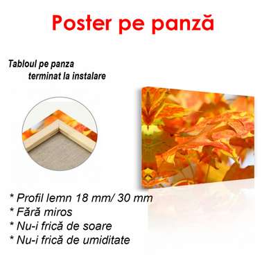 Poster - Autumn leaves, 90 x 60 см, Framed poster, Nature