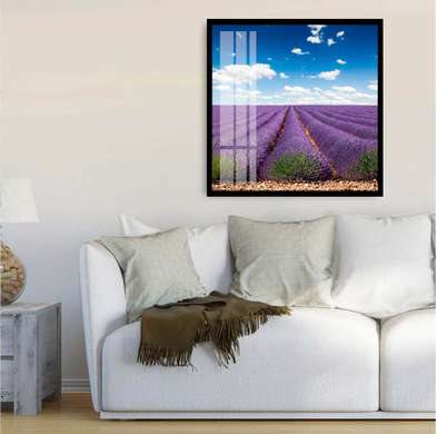 Poster - Beautiful day in the lavender field, 100 x 100 см, Framed poster on glass, Nature