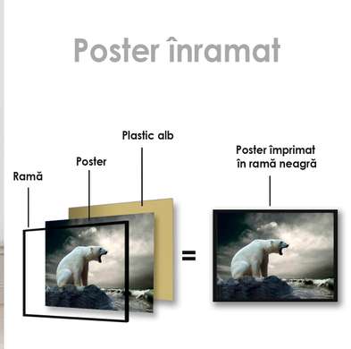 Poster, Urs polar, 90 x 60 см, Poster inramat pe sticla