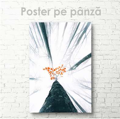 Poster - Vedere de jos, 30 x 45 см, Panza pe cadru