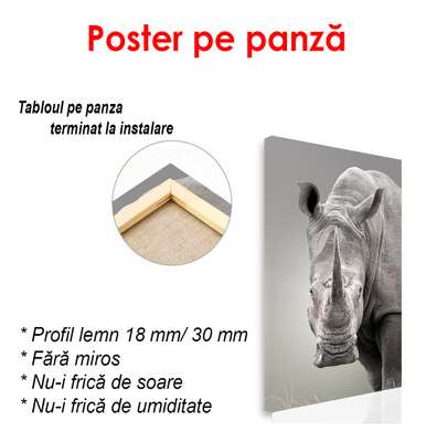 Постер - Серьезный носорог, 30 x 60 см, Холст на подрамнике, Черно Белые