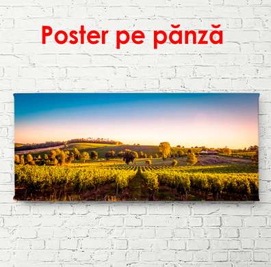 Poster - Beautiful field landscape, 150 x 50 см, Framed poster on glass, Nature