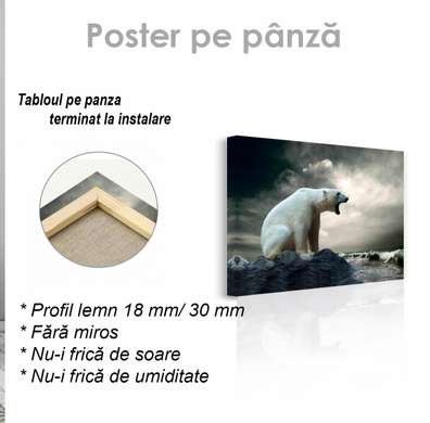 Постер, Белый медведь, 90 x 60 см, Постер на Стекле в раме, Животные