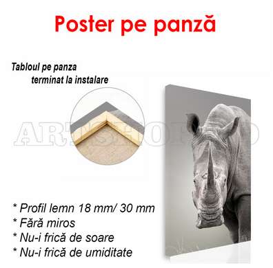 Poster - Rinocerul serios, 45 x 90 см, Poster inramat pe sticla, Alb Negru