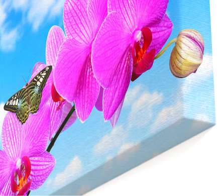Modular picture, Pink orchid against the sky, 198 x 115