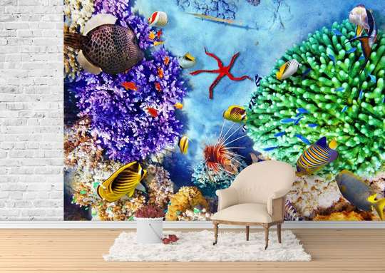 Wall Mural - Coral reefs and colorful fish