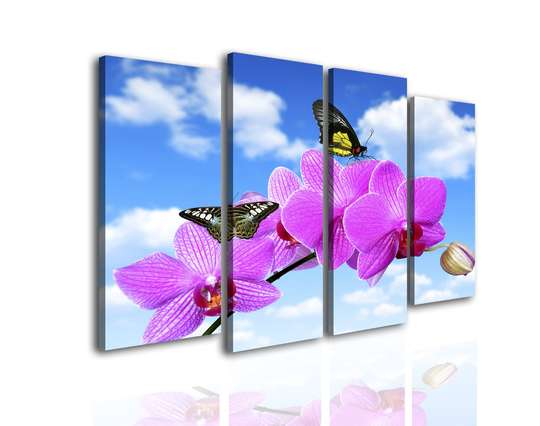 Модульная картина, Розовая орхидея на фоне неба, 198 x 115