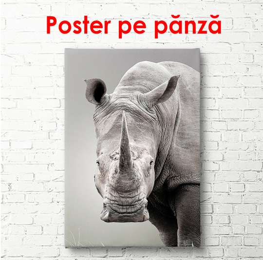 Постер - Серьезный носорог, 30 x 60 см, Холст на подрамнике