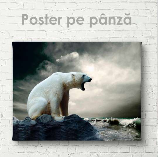 Poster, Polar bear, 45 x 30 см, Canvas on frame, Animals