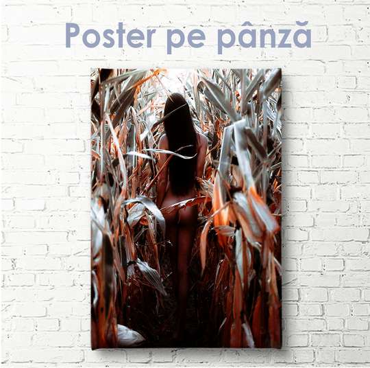 Постер - Девушка в кукурузном поле, 30 x 45 см, Холст на подрамнике, Ню