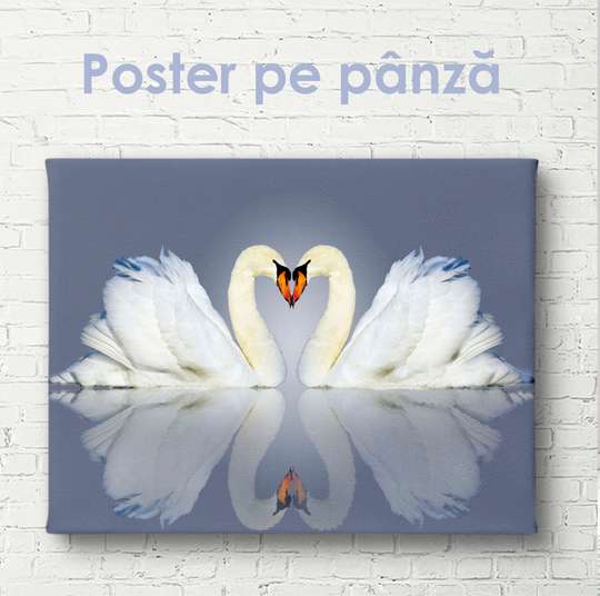 Постер, Две лебеди, 60 x 30 см, Холст на подрамнике, Животные
