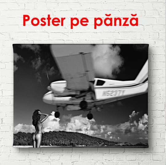 Poster - Airplane flies to land, 75 x 50 см, Canvas on frame, Black & White