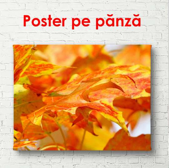 Poster - Autumn leaves, 90 x 60 см, Framed poster