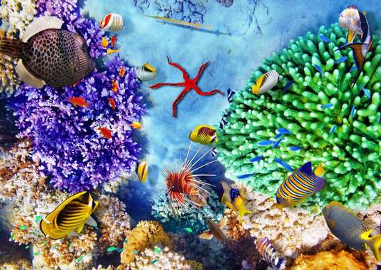 Фотообои - Коралловые рифы и разноцветные рыбки