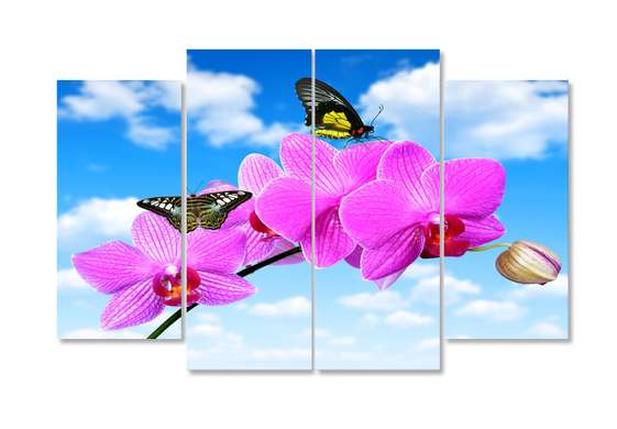 Modular picture, Pink orchid against the sky, 198 x 115