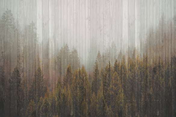 Wall Mural - Autumn forest with fir trees