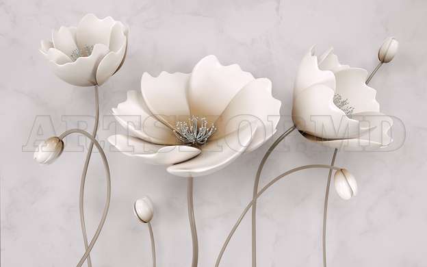 3D Photo Wallpaper- Beige flowers on gray background