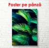 Poster - Frunze de palmier pe un fundal întunecat, 60 x 90 см, Poster înrămat, Botanică