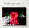 Poster - Bright red rose, 45 x 30 см, Canvas on frame, Flowers