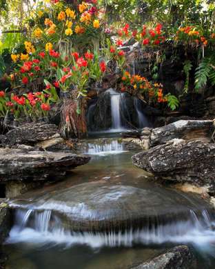 Фотообои - Тропические орхидеи на дереве
