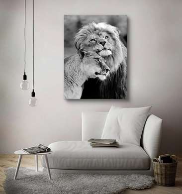 Постер, Львы и любовь, 60 x 90 см, Постер на Стекле в раме, Животные